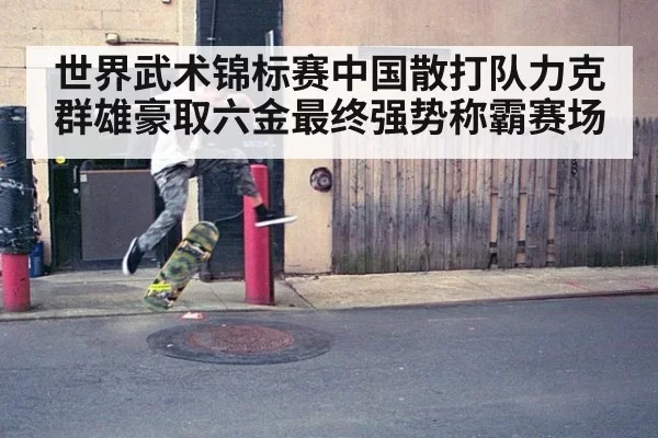 世界武术锦标赛中国散打队力克群雄豪取六金最终强势称霸赛场